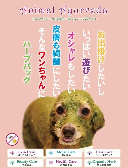 アーユルヴェーダで糖尿病は完治する「ヒマラヤの精」の秘密 内田大円 糖尿病を治す奇跡のアーユルヴェーダ: インド4000年の医学