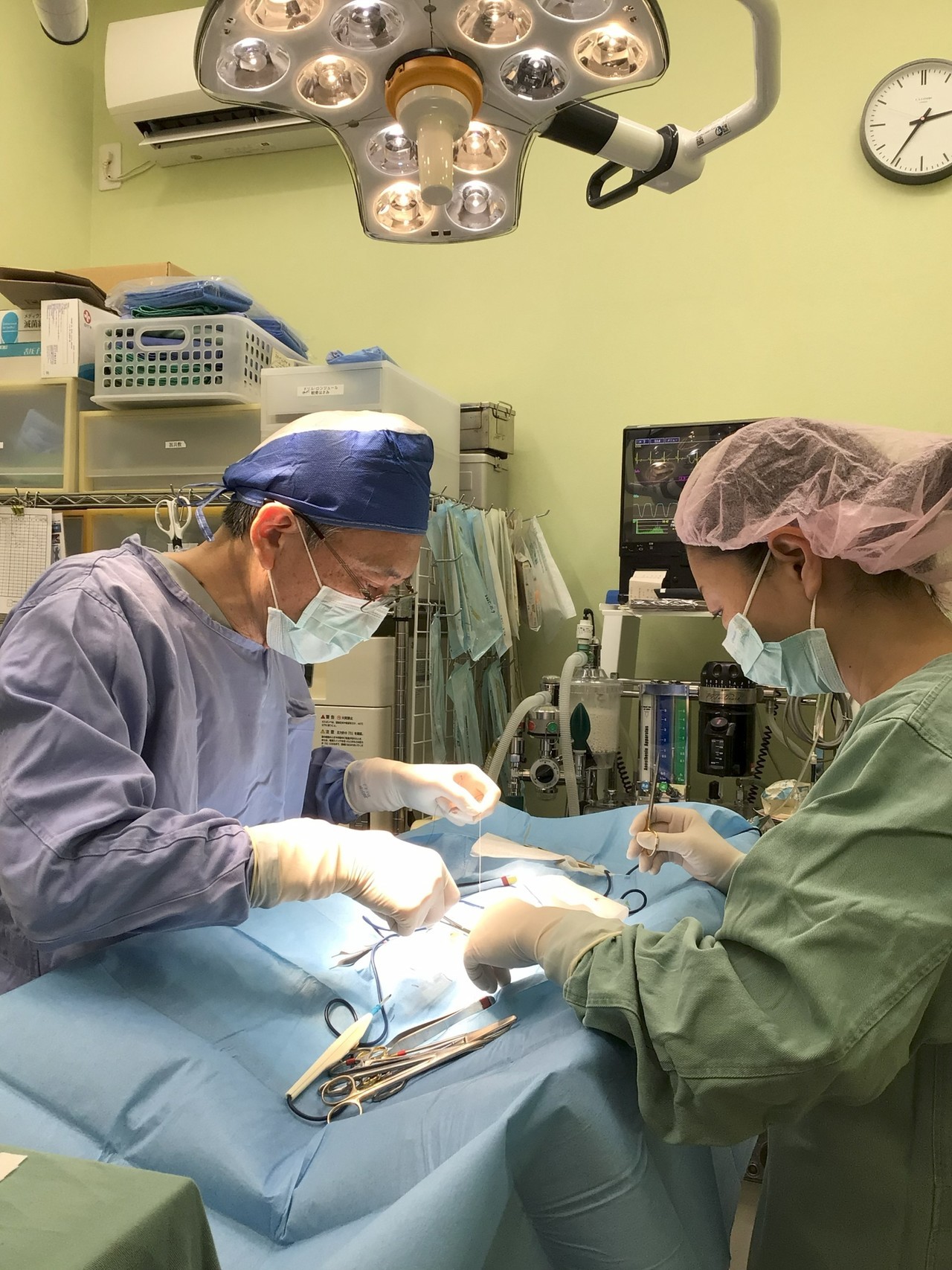 埼玉県　ふじみ野市　動物病院　コリーヌ動物病院　去勢避妊