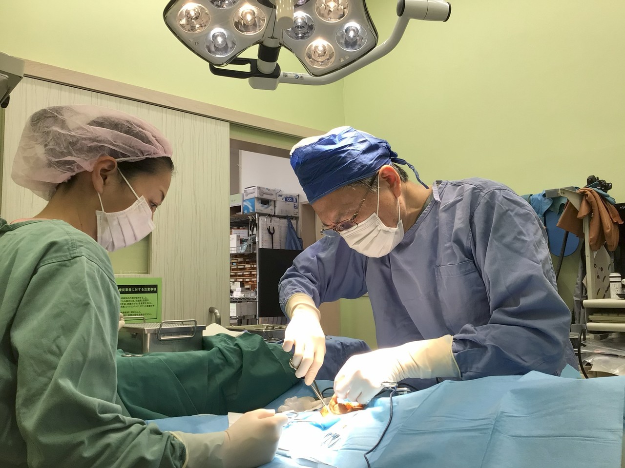 埼玉県　ふじみ野市　動物病院　コリーヌ動物病院　去勢避妊