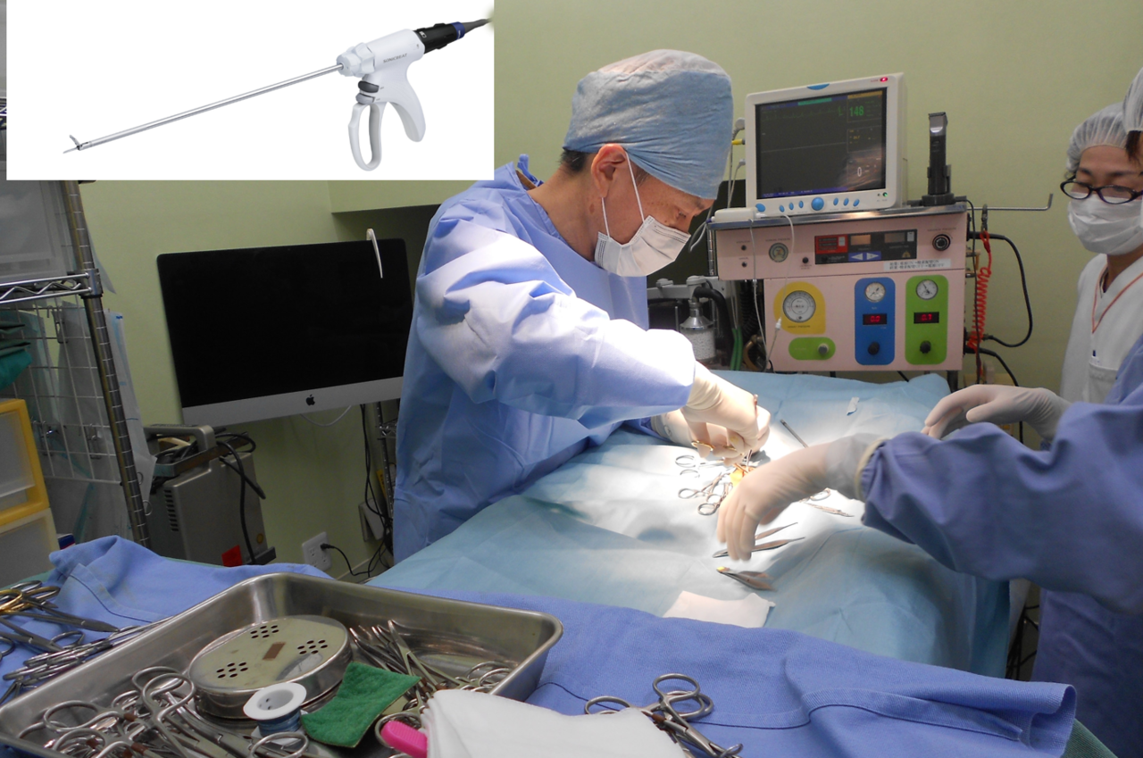 埼玉県　ふじみ野市　動物病院　コリーヌ動物病院　診療案内